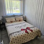 6 *